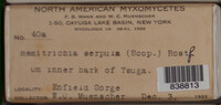 Image Associated With the Occurence
